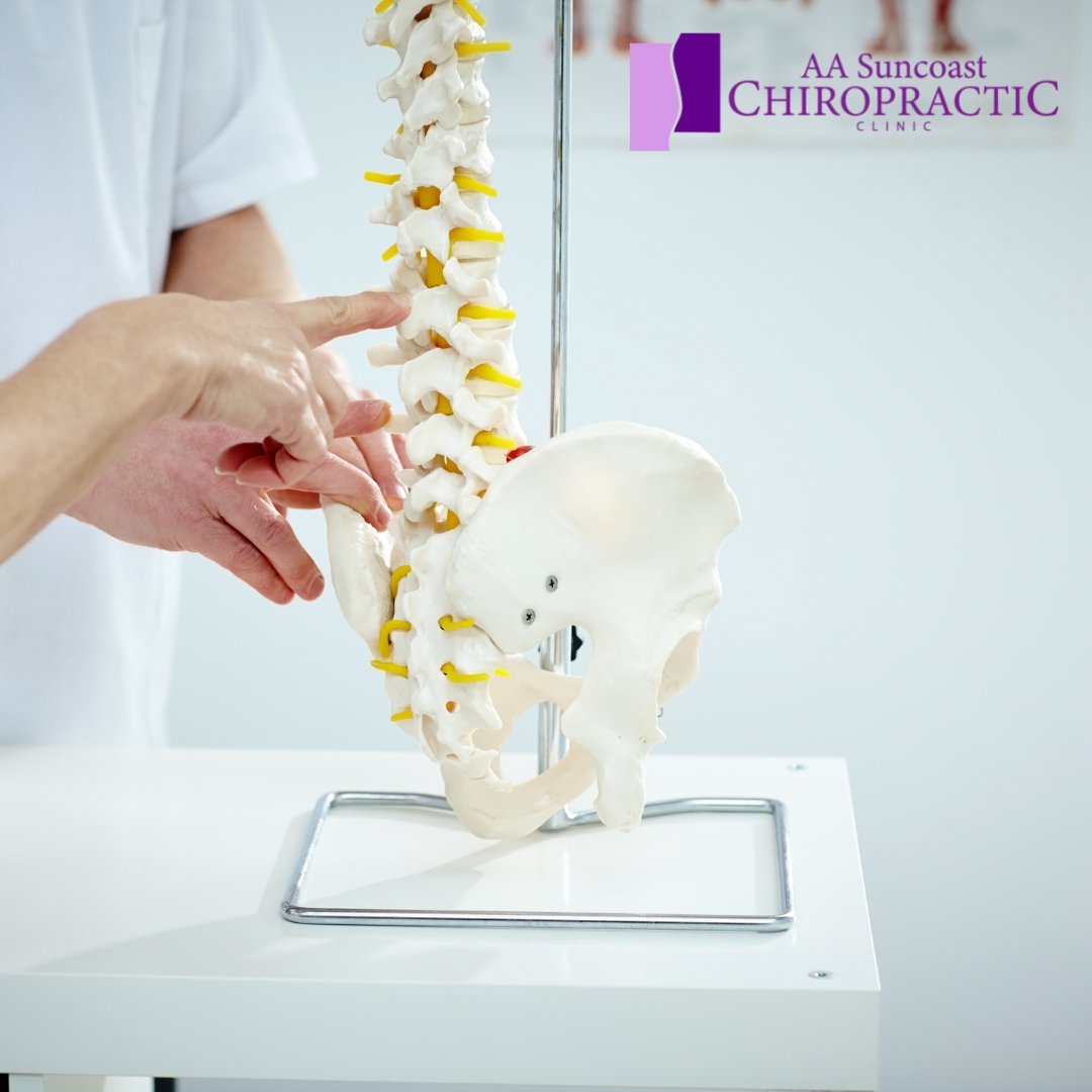 AASuncoast's tweet image. Maintaining a healthy spine can be life-changing. By scheduling regular appointments, Doctors Albert E Andrion and Doug Reitz can work to achieve optimal spine alignment.

📞 (727) 321-2020
📍 5025 9th Ave N, St. Pete

#SuncoastChiro #SpineAlignment #StPeteChiropractor