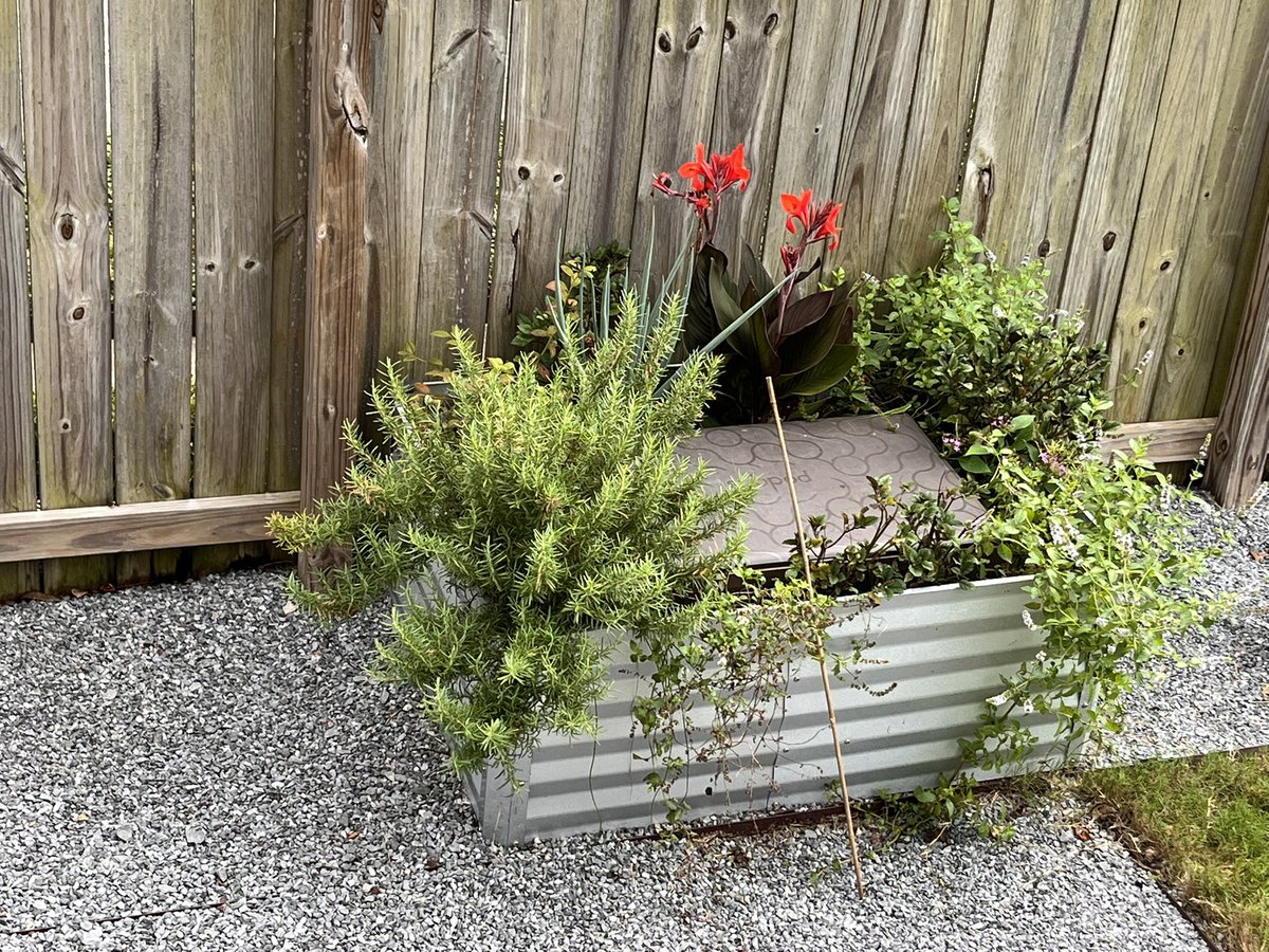 Aaron T Walker tweet media