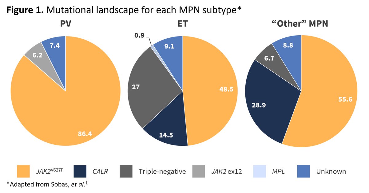 There are currently limited real-world data for disease management, vascular complications, and disease transformation in young adults with #MPN. Sobas, et al. performed a large retrospective study to broaden this area of unmet need. Find out more👉 loom.ly/am0zah8 #MPNsm