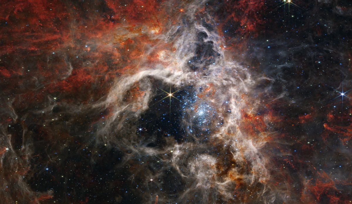 1/ Thousands of never-before-seen young stars can be spotted here, caught up in the Tarantula Nebula’s web. This new image of the Tarantula Nebula, 30 Doradus, was captured by the #NIRCAM instrument on <a href="/ESA_Webb/">ESA Webb Telescope</a> .

Read more: esawebb.org/news/weic2212/