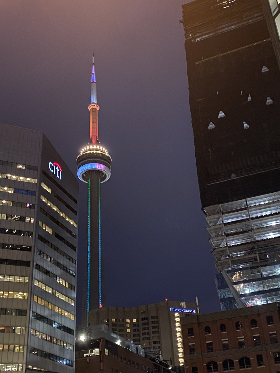 MehakStokoe's tweet photo. What a pleasure to attend @CAPO_ACOP / @IPOSPsychoOncol last week in Toronto! Always fun connecting with colleagues, learning and watching baseball for the first time! https://t.co/9HjC1oDY90
