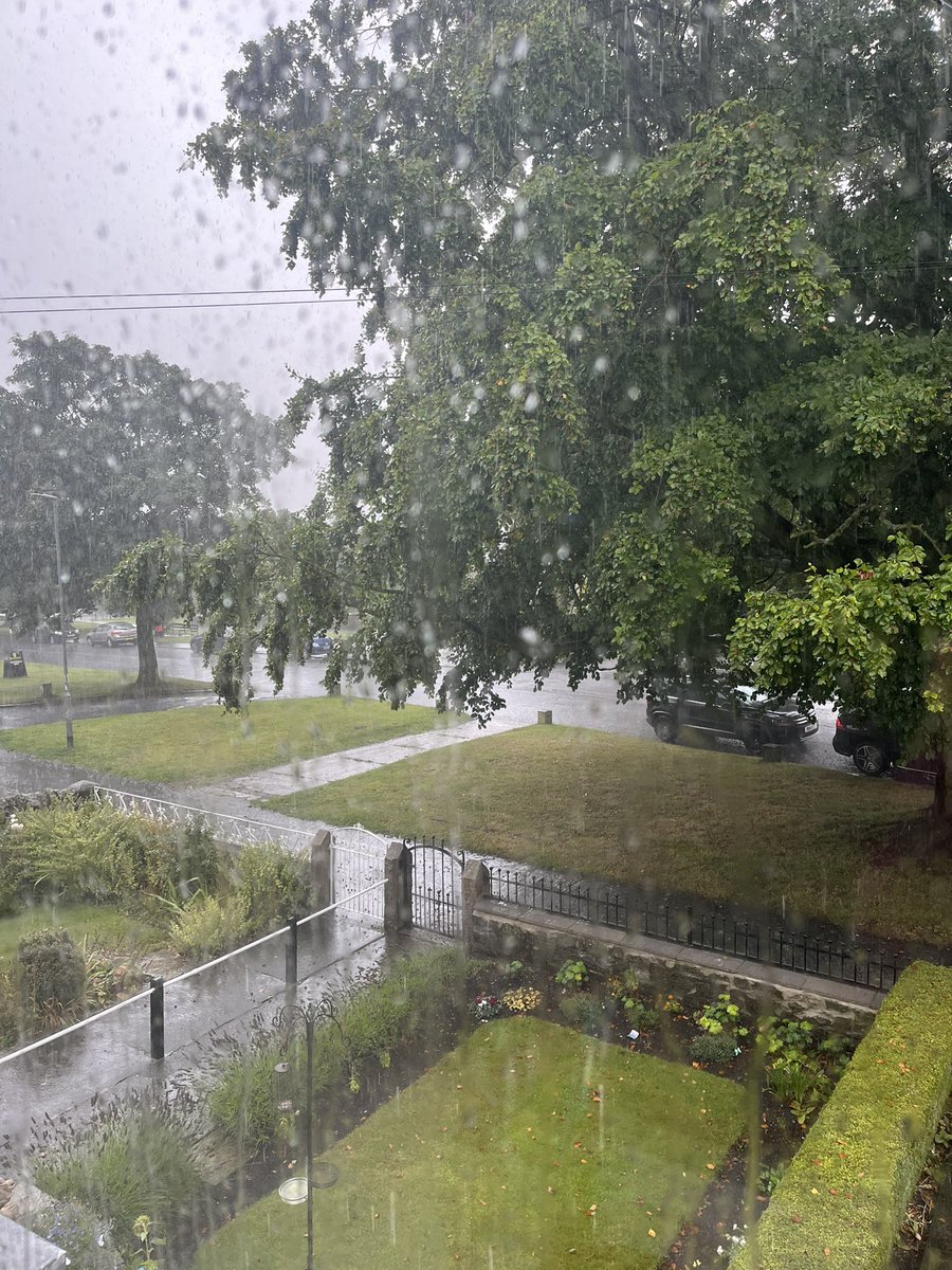 katie walker tweet media