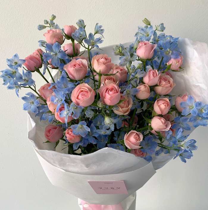 La vie est belle (@lavieestbelie) on Twitter photo 