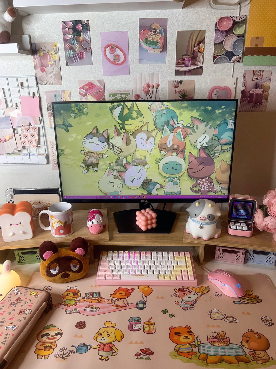 RenRen 🤍🍄 tweet media