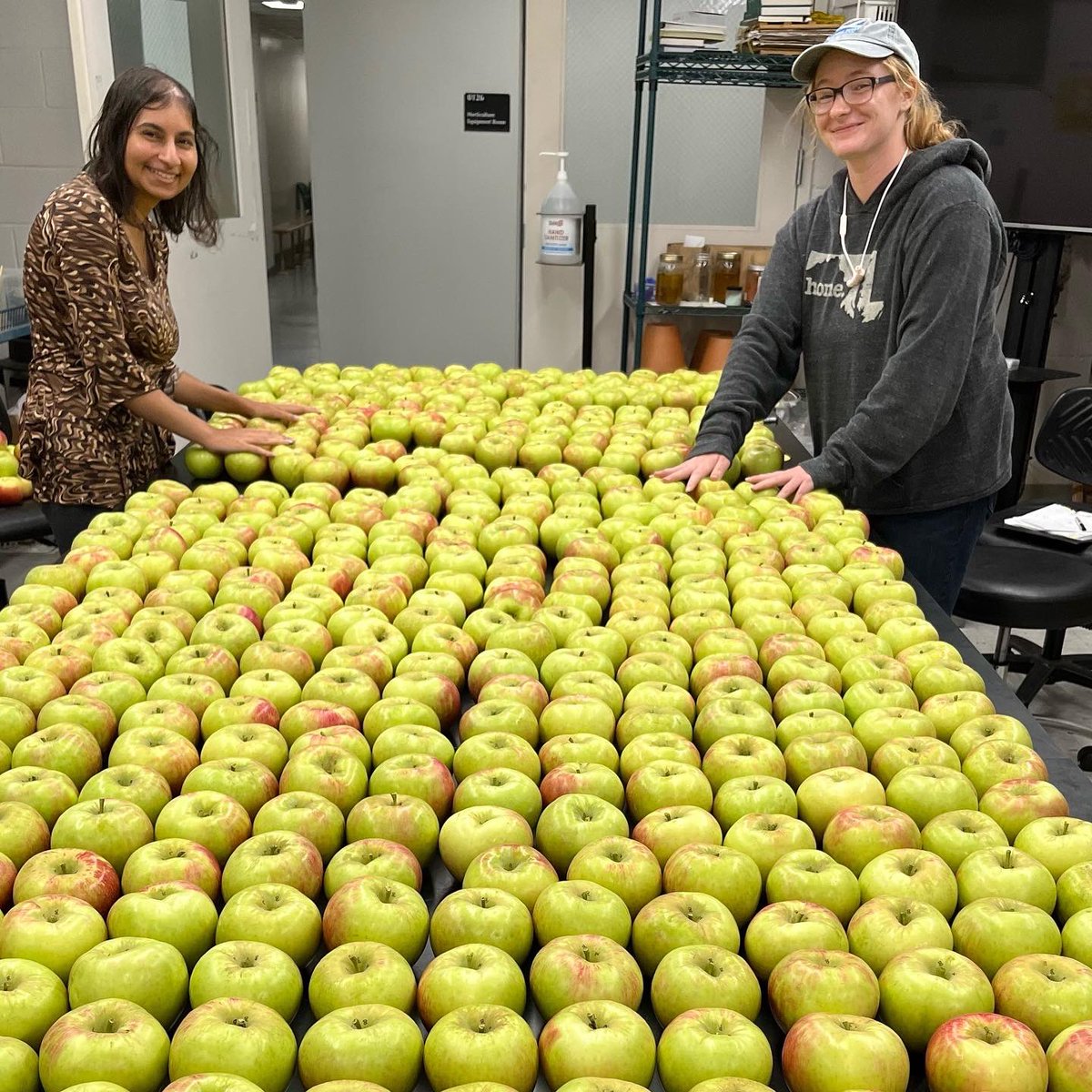 FarcuhMacarena's tweet photo. Apple harvest in full swing at the #FarcuhLab !
Very excited to be working with such a fun and committed team!!
🍎🍏🍎🍏

@UMD_AGNR @UMdExtension @UMDResearch https://t.co/gdauqTHYxN