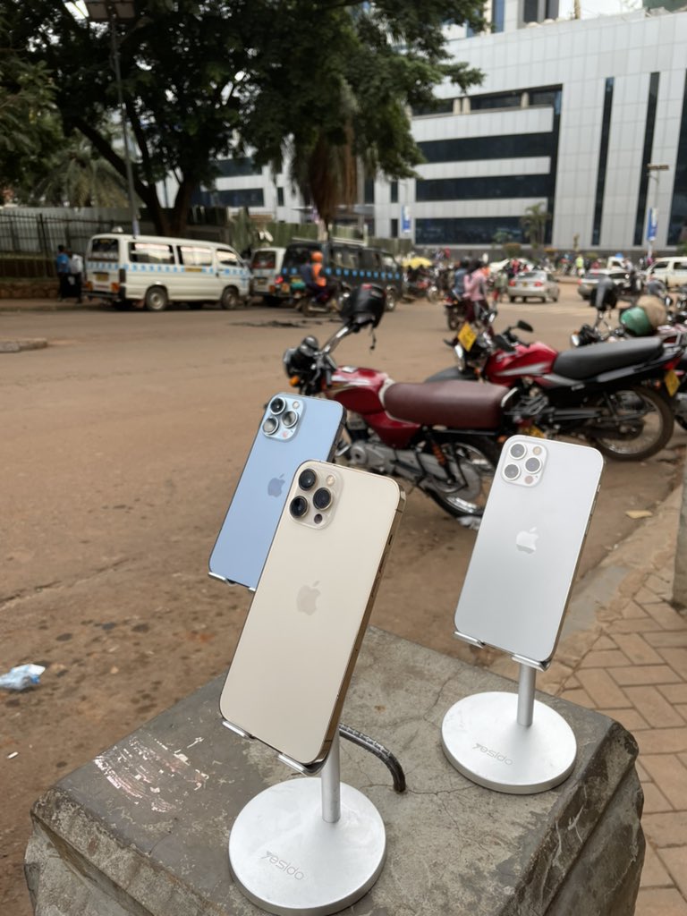 appleanimal™️ tweet media