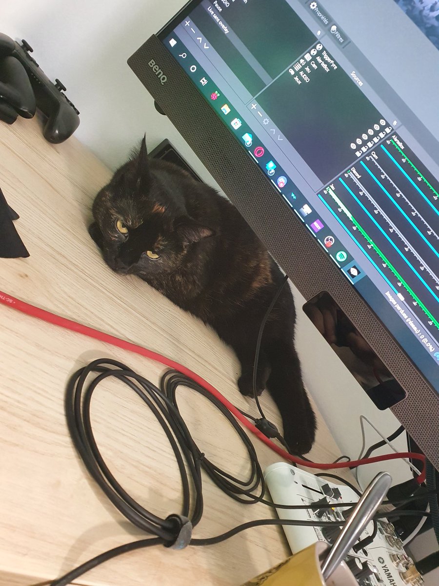 Buekerss's tweet photo. Un petit peu de compagnie pendant ce Stream sur Little Nightmares 🥰
#Groschat https://t.co/VzkRuV9cJ5
