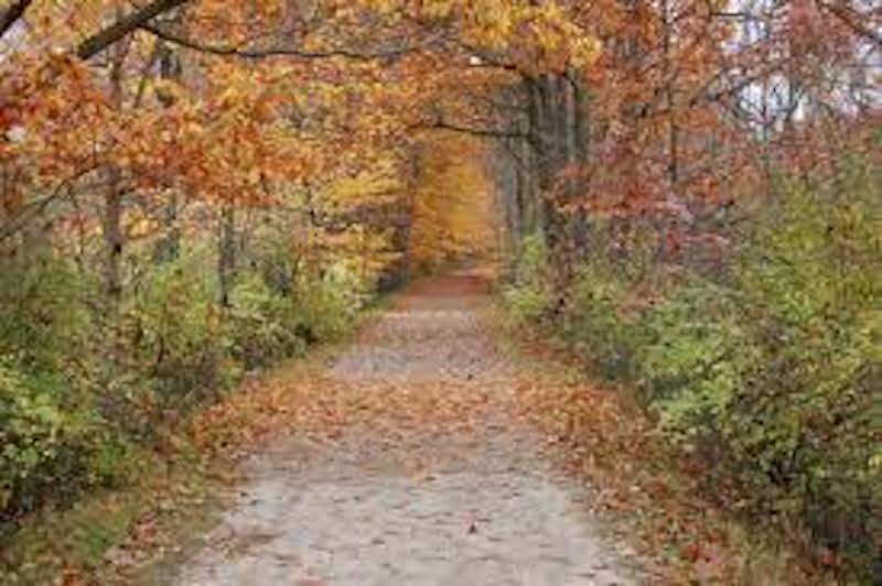 The Fall is a great time to get on a bike and check out the Kal-Haven Trail. You can hop on the trail just a few miles from Off Map!