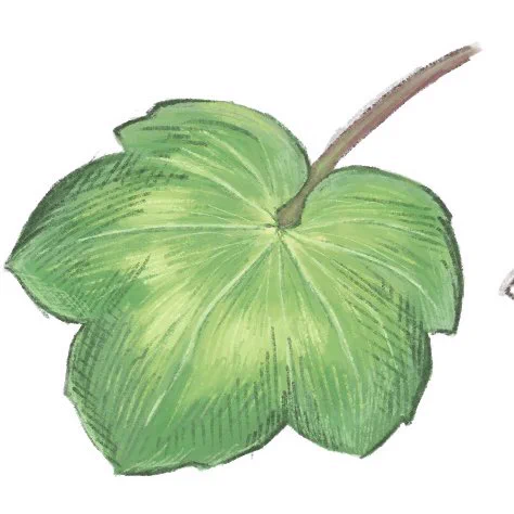 書き足してみた 