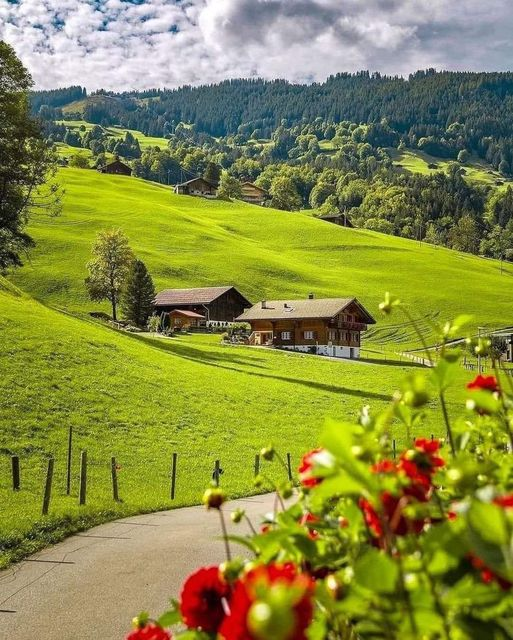 Marychen85201's tweet photo. Grindelwald, Switzerland 🇨🇭
Love this life #Nature #Happiness #Tuesday #BidenWorstPresidentInHistory https://t.co/j1sPRtDuj0
