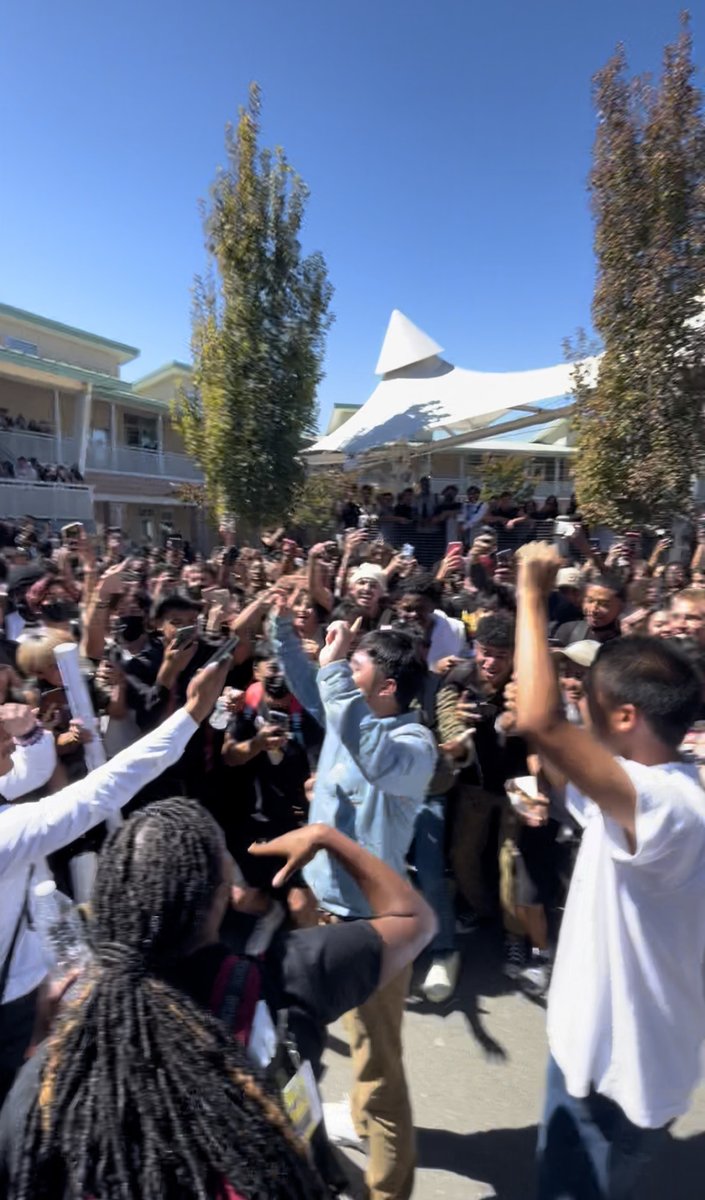 Director Ricetti tweet media