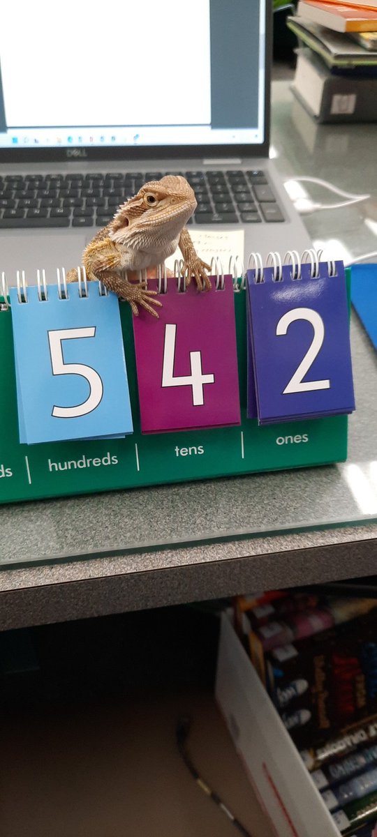 fisch_librarian's tweet photo. Daisy's super excited about the amount of books that have been checked out to the @TME_tigers . #librarymediacenter https://t.co/SM9kNaTW80