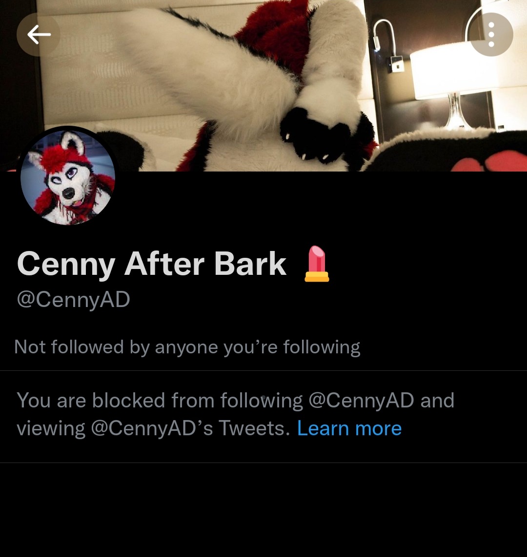 cennyarchive's tweet photo. So much for speaking to those who have information on him to clarify things. Id love for him to reply and explain why there was an image of a dog with a sex toy inside of it in his twitter likes. Its getting hard to beleive a single thing he says. https://t.co/aNLuSauGXp