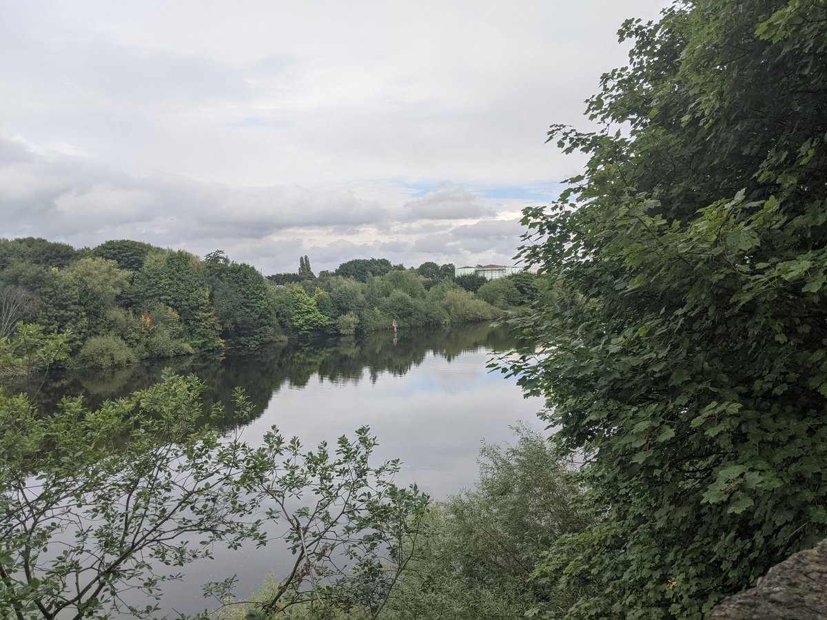 DeniseHowell3's tweet photo. Walking for Dementia UK this month. Enjoyed my daily route today by the side of The Manchester Ship Canal along The Bollin Way and back through our local Park. @AdeleNew4 #TeamDementiaUK #raisingawareness https://t.co/K4S4ObVsq7