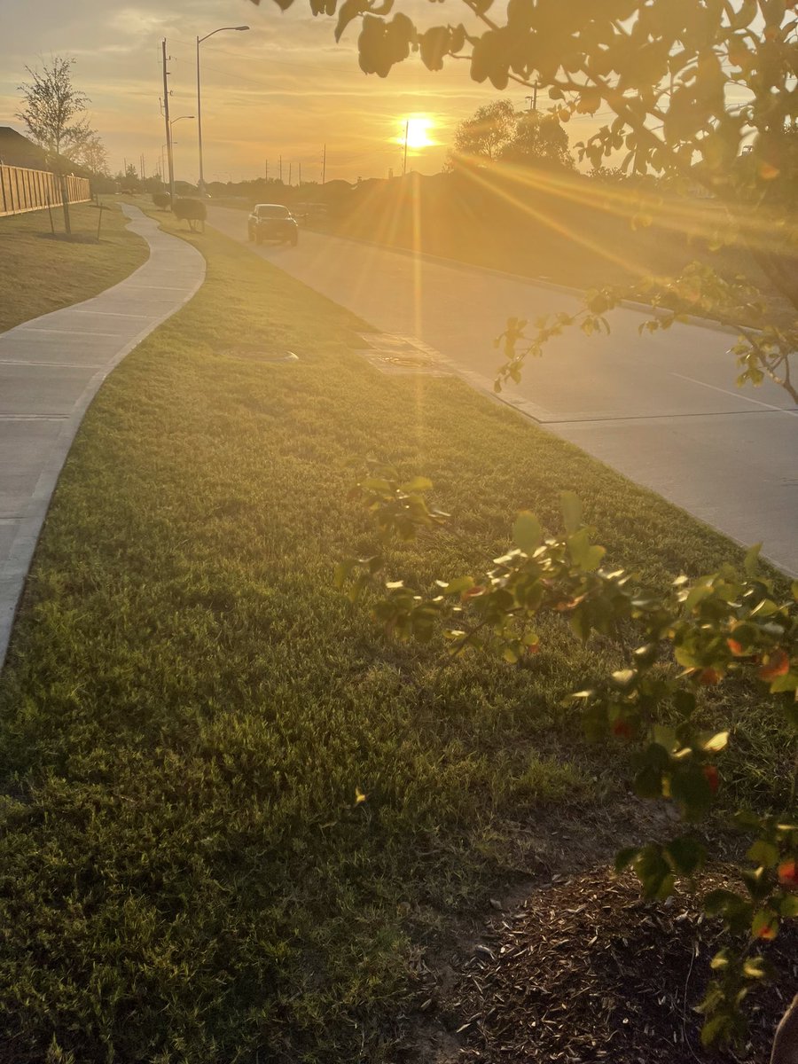 GHugohills's tweet photo. Let the lights in.
Let the morning sun 🌞 adorn your eyes and body.
Let the beauty excite your spirit.

It’s a new day!
And we are well alive.
#BonViva #welllife #goodmorning https://t.co/VElJ10twPE