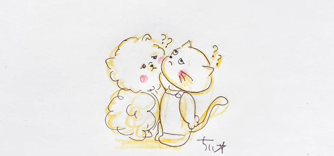 相手のこと、相手への気持ちわからなくなった時はもしかしたら近すぎるのかもしれないよ。近すぎてわからなくなってるだけかもしれないよ。#距離 