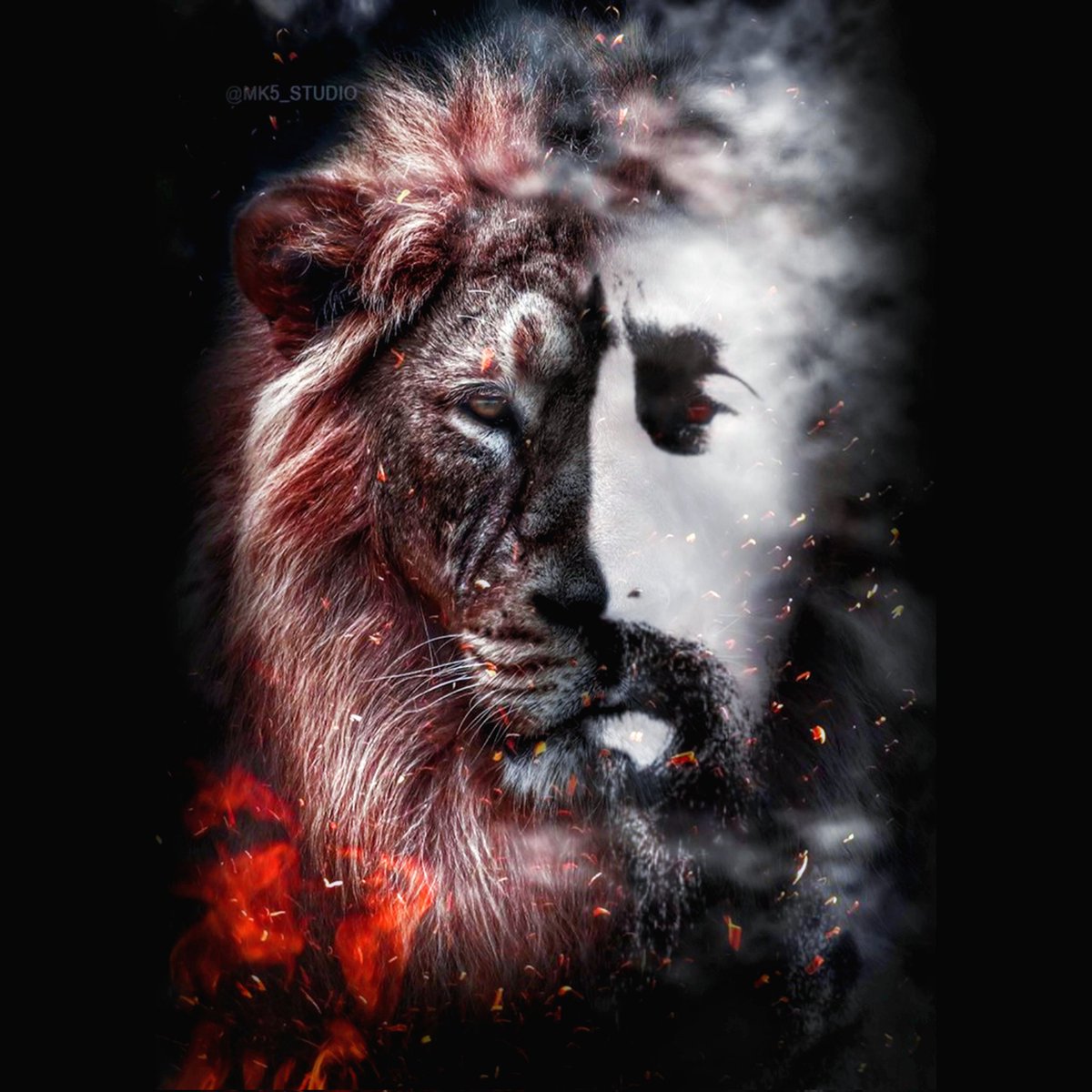 pritamvirdee's tweet photo. unleash the beast within..... https://t.co/sg8V1tLhPD