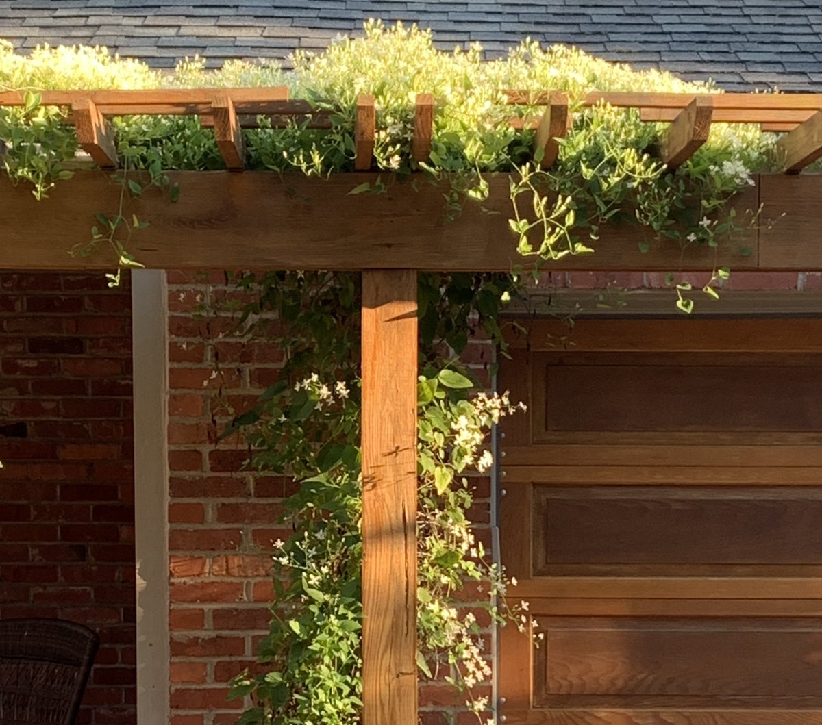 slicedbreadarch's tweet photo. The front yard trellis improves street appeal, especially when the clematis show up! #trellis #streetappeal #clematis #slicedbreadarch https://t.co/jNuiUS8BYU