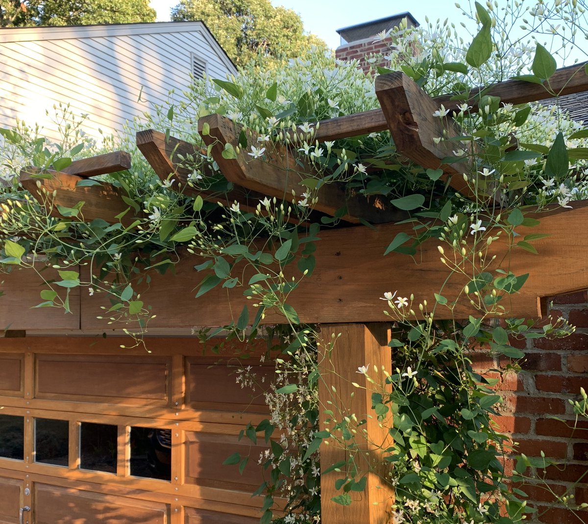 slicedbreadarch's tweet photo. The front yard trellis improves street appeal, especially when the clematis show up! #trellis #streetappeal #clematis #slicedbreadarch https://t.co/jNuiUS8BYU