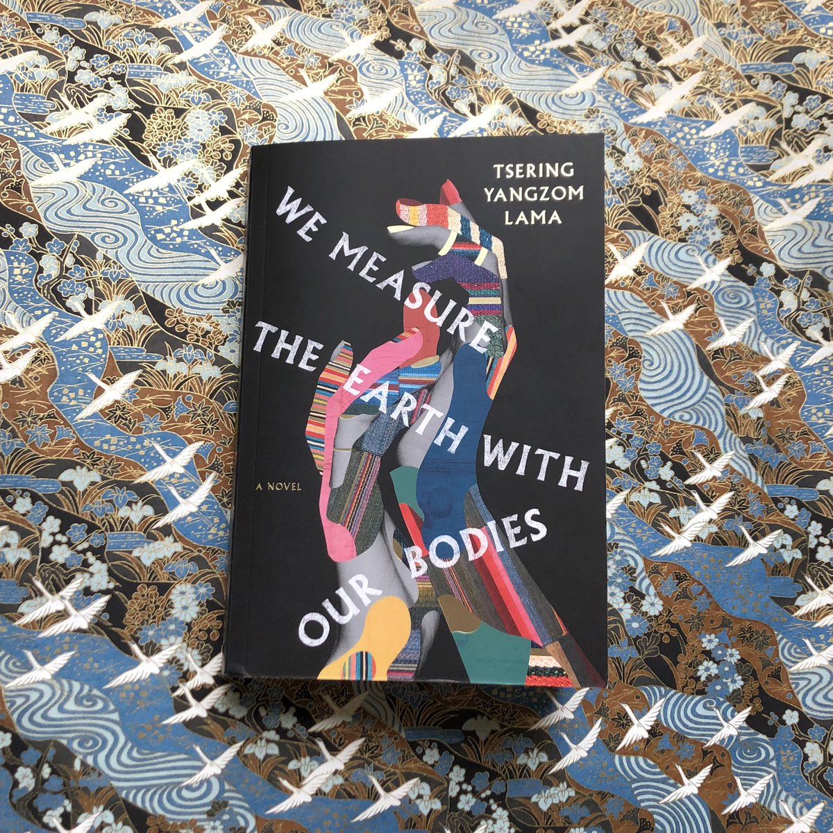 AnitaChong9's tweet photo. Congratulations to @tseringylama on being longlisted for the #GillerPrize for her marvel of a debut novel, We Measure the Earth with Our Bodies! 🌟❤️ @McClellandBooks https://t.co/9tdcutv1Wa