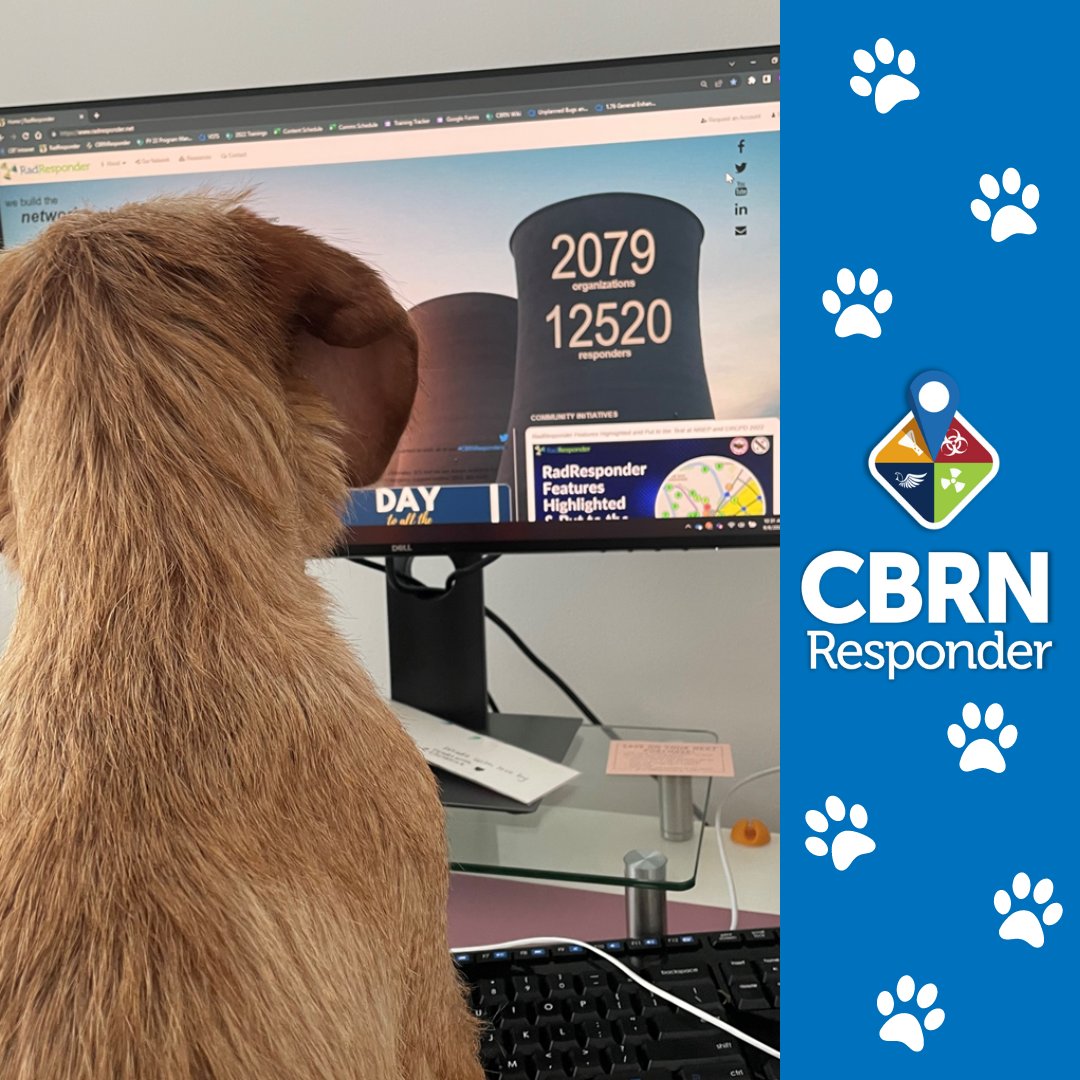 CBRNResponder's tweet image. One of our #CBRNResponder Team Members sent us this photo this morning of her puppy watching the #RadResponder homepage animations and it was too cute not to share!

We hope your 4-day week is off to a good start!