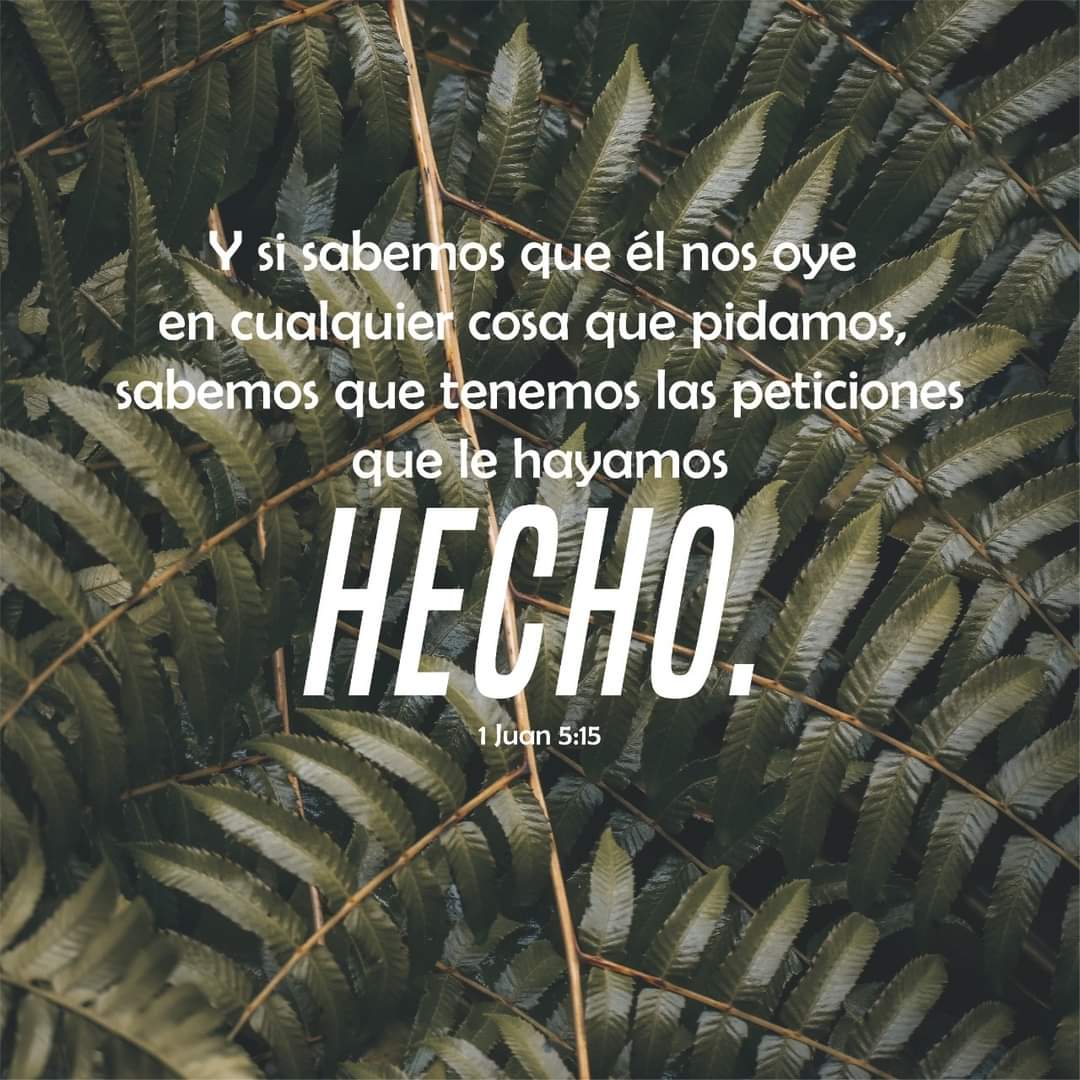 RadioVidaHN's tweet photo. Y si sabemos que él nos oye en cualquier cosa que pidamos, sabemos que tenemos las peticiones que le hayamos hecho.1 Juan 5:15📖 

#versiculodevida 
#vidafm #conactitudpositiva 

106.5///94.7 📻 https://t.co/24R6VpwrR3