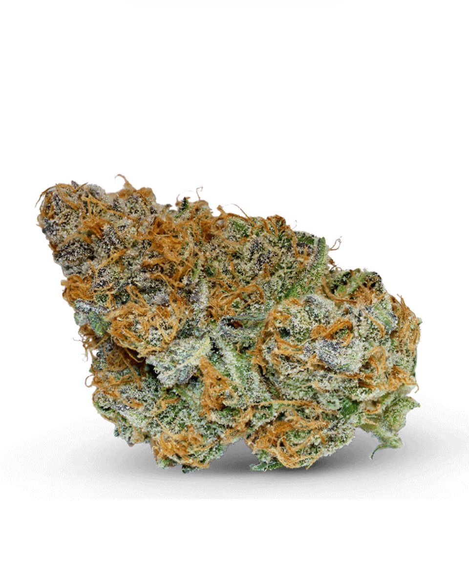 Hempture® tweet media