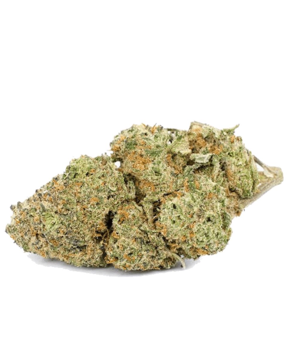 Hempture® tweet media