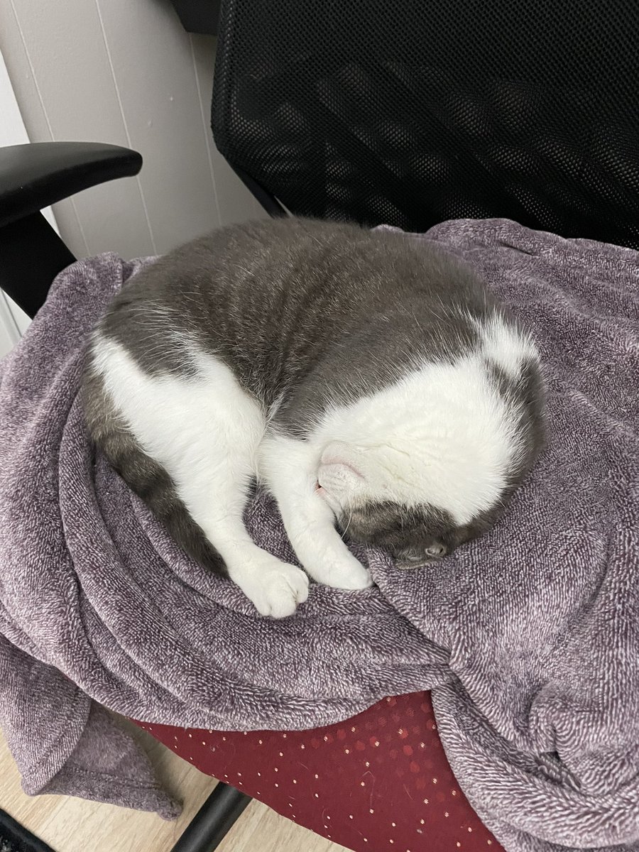 LittleFrei's tweet photo. @lannasphere https://t.co/TBwPdxFJGv