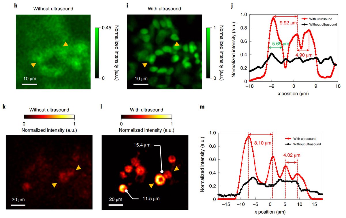 Fabian F. Voigt tweet media
