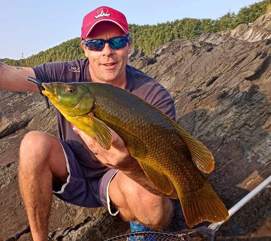 LureNuts's tweet photo. Member @damionfryer1 with a lump of a wrasse caught on his last session!

#uklurefishing
#lurenuts https://t.co/fSoOX5DTjV