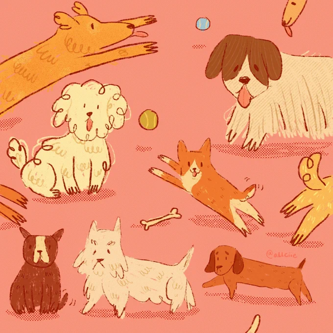 dog park  
