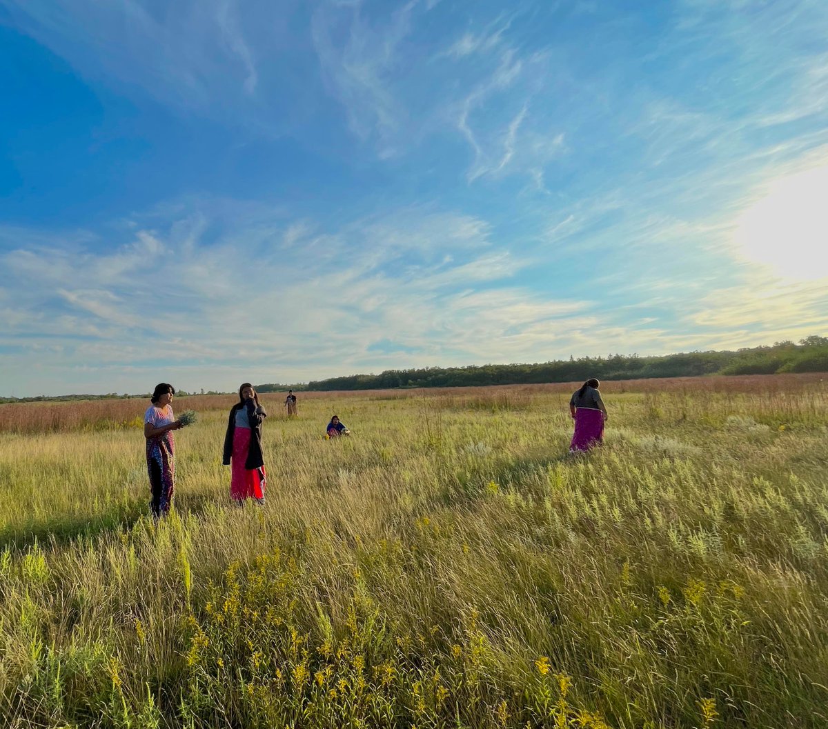 Girls Night &amp; Young Moms participants recently went Sage picking. 
There are many uses for sage, including smudging. 
The girls &amp; young women learned how to identify sage that is growing freely in parks &amp; other areas in the province.
#RossbrookHouse #sage #IndigenousCulture