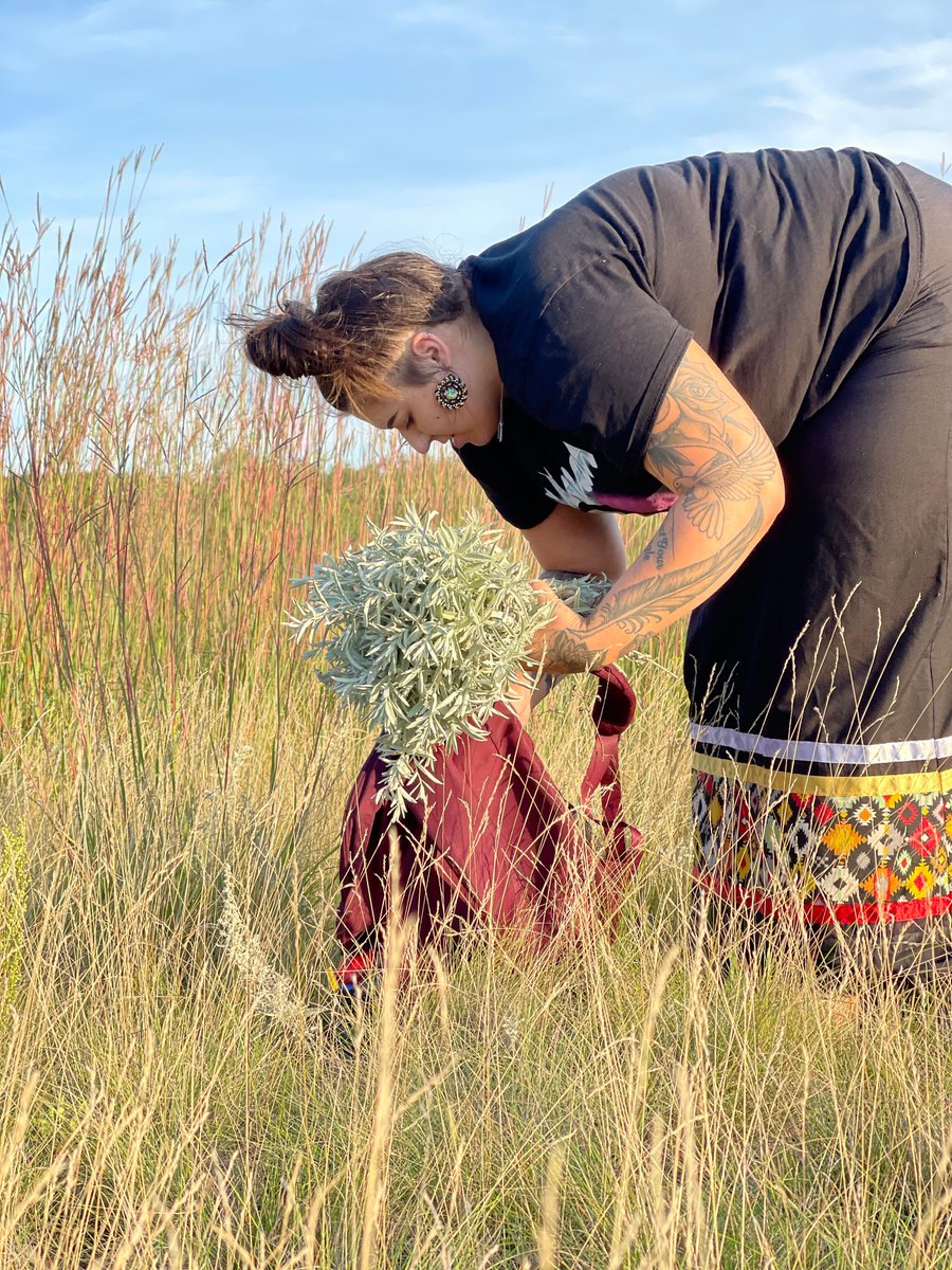 Rossbrook's tweet photo. Girls Night &amp; Young Moms participants recently went Sage picking. 
There are many uses for sage, including smudging. 
The girls &amp; young women learned how to identify sage that is growing freely in parks &amp; other areas in the province.
#RossbrookHouse #sage #IndigenousCulture https://t.co/KxDCfezCkz
