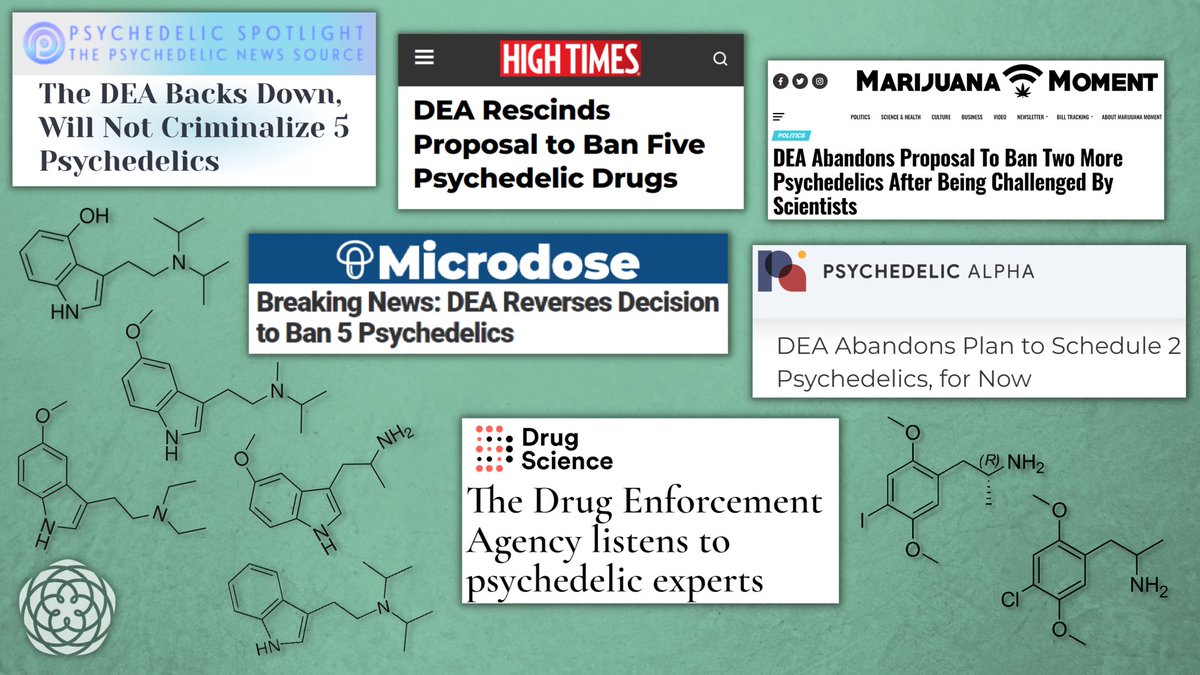 In case you missed it…