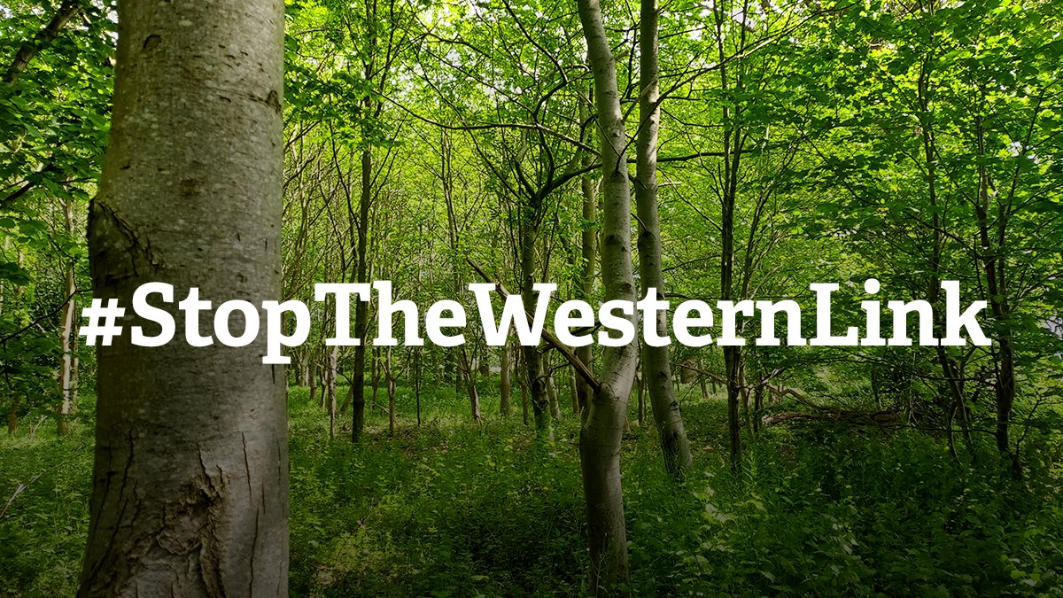 The impact of the Norwich Western Link will spread far beyond the Wensum Valley.

We are in the midst of a climate and nature emergency. We cannot afford the carbon cost of this project ✋🛑

Read climate scientist Dr Andrew Boswell's blog post: norfolkwt.uk/CarbonCost 

(1/3)🧵