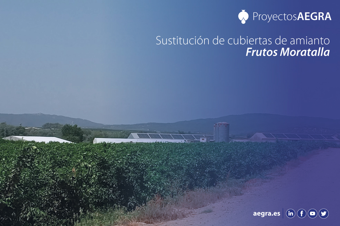AegraSL's tweet photo. 📢 Nuevo #proyecto AEGRA

Retirado en total 𝟮.𝟯𝟲𝟱,𝟬𝟳𝟭 𝗺𝟮 de #cubierta de #fibrocemento con #amianto. Este material ha sido sustituido por chapa grecada de 0,7 mm para la posterior instalación de #paneles fotovoltaicos. + info👇
🔗https://t.co/veBefAAsJK https://t.co/Ppef1WikTw