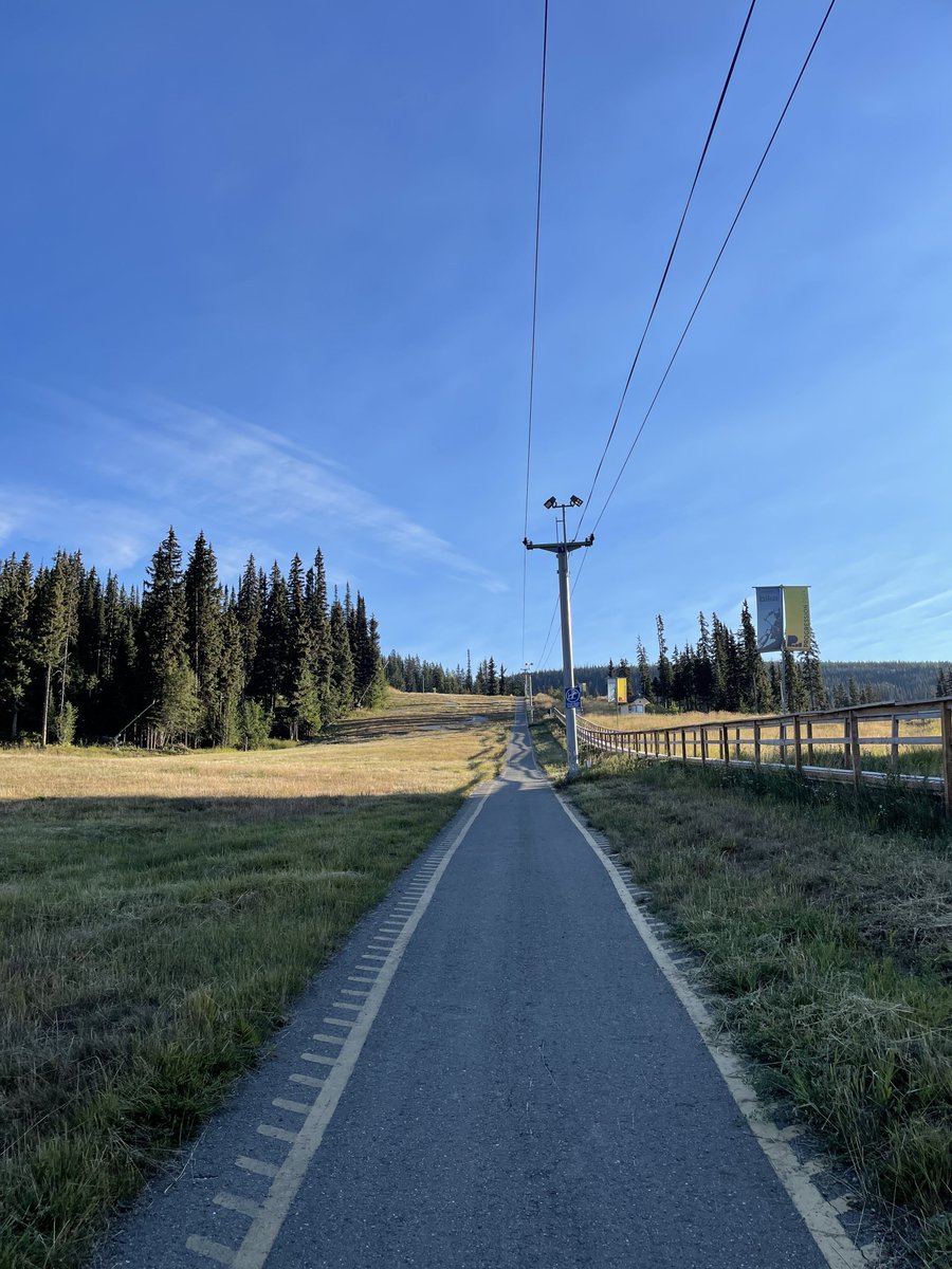 Curtis Wiebe tweet media