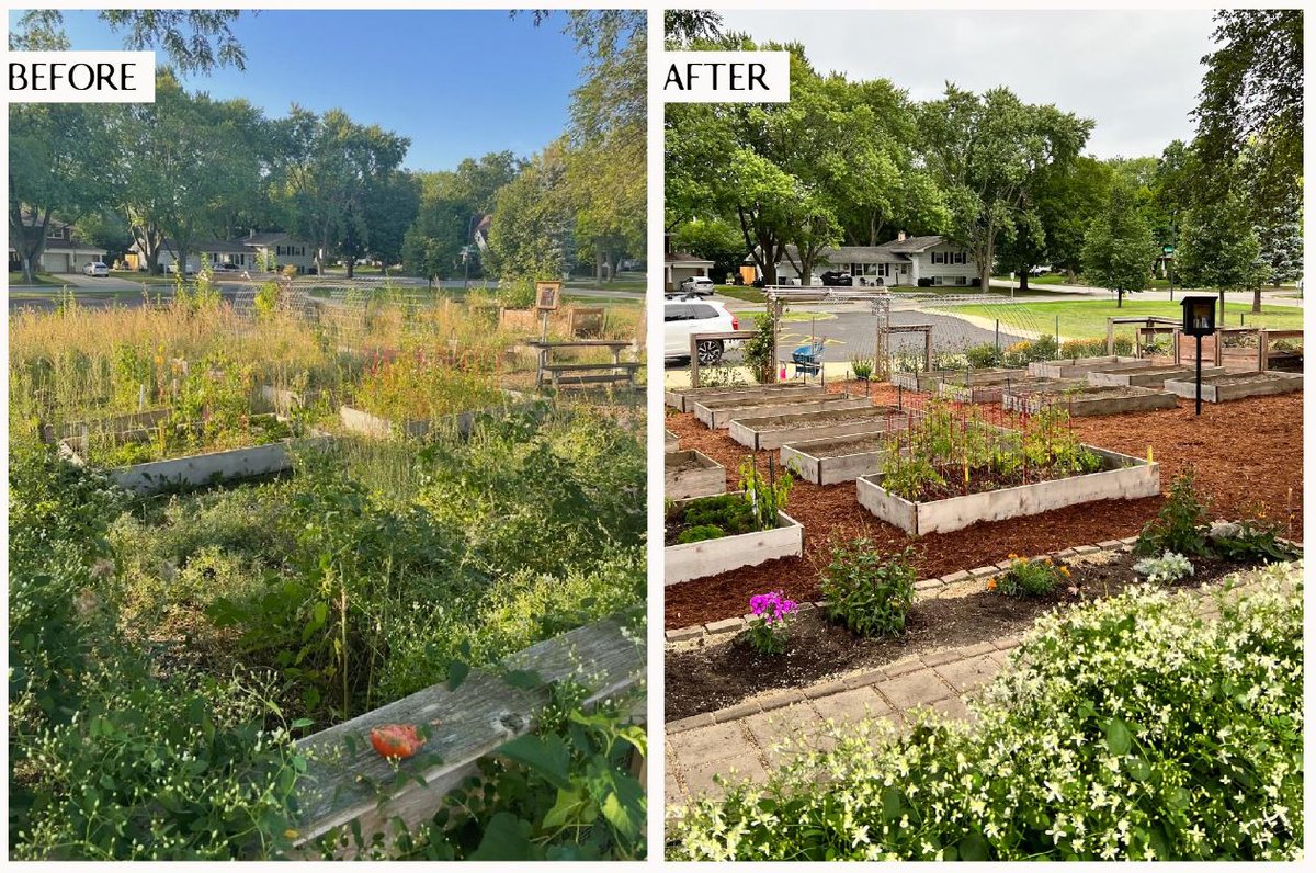 LangesMatt's tweet photo. The Elmwood Garden underwent a full makeover this weekend! Thank you to the community members who made this incredible transformation happen! #PartnerInGrowth #YouBelong https://t.co/23GgzNgqTI