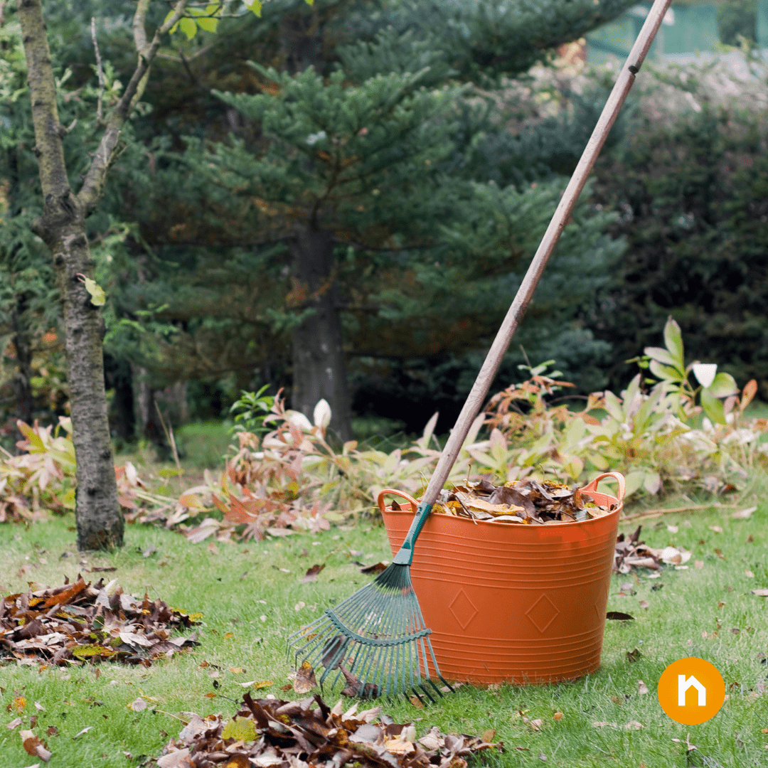 degiv_'s tweet photo. Im Rentenalter aktiv bleiben bedeutet auch Arbeiten in Haus und Garten zu erledigen. Jetzt im Spätsommer ist es an der Zeit, den Garten auf Herbst und Winter vorzubereiten. Nach der Verrentung Ihrer Immobilien bleiben Sie im eigenen Zuhause wohnen und https://t.co/44q2XP4SEg https://t.co/IBHOxkvod3