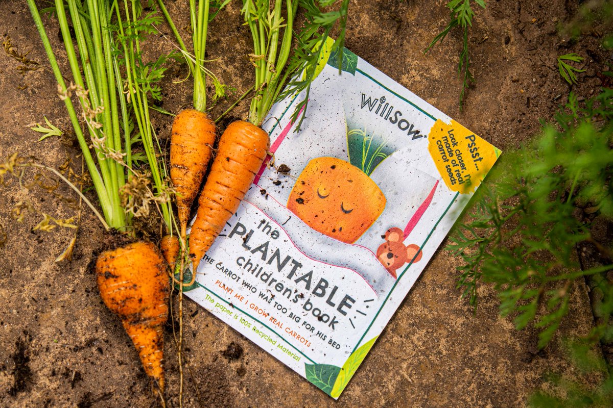 Happy #nationalreadabookday 📚

We'd highly recommend <a href="/WillsowBooks/">Willsow.Books</a>, the world's first plantable children's book! 

Once you're done reading, plant it and watch it grow. 🥕

Visit your local Co-op to buy one today: 
ow.ly/yGkS50KBckX