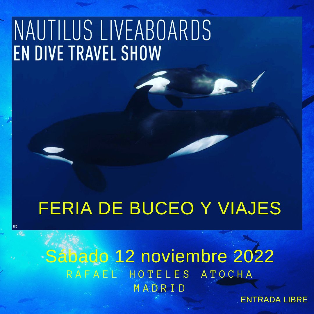 Buceadores_'s tweet image. Feria de Buceo y Viajes Save the date
12 de noviembre 2022
Rafael ahoteles Atocha Madrid 
Entrada Libre