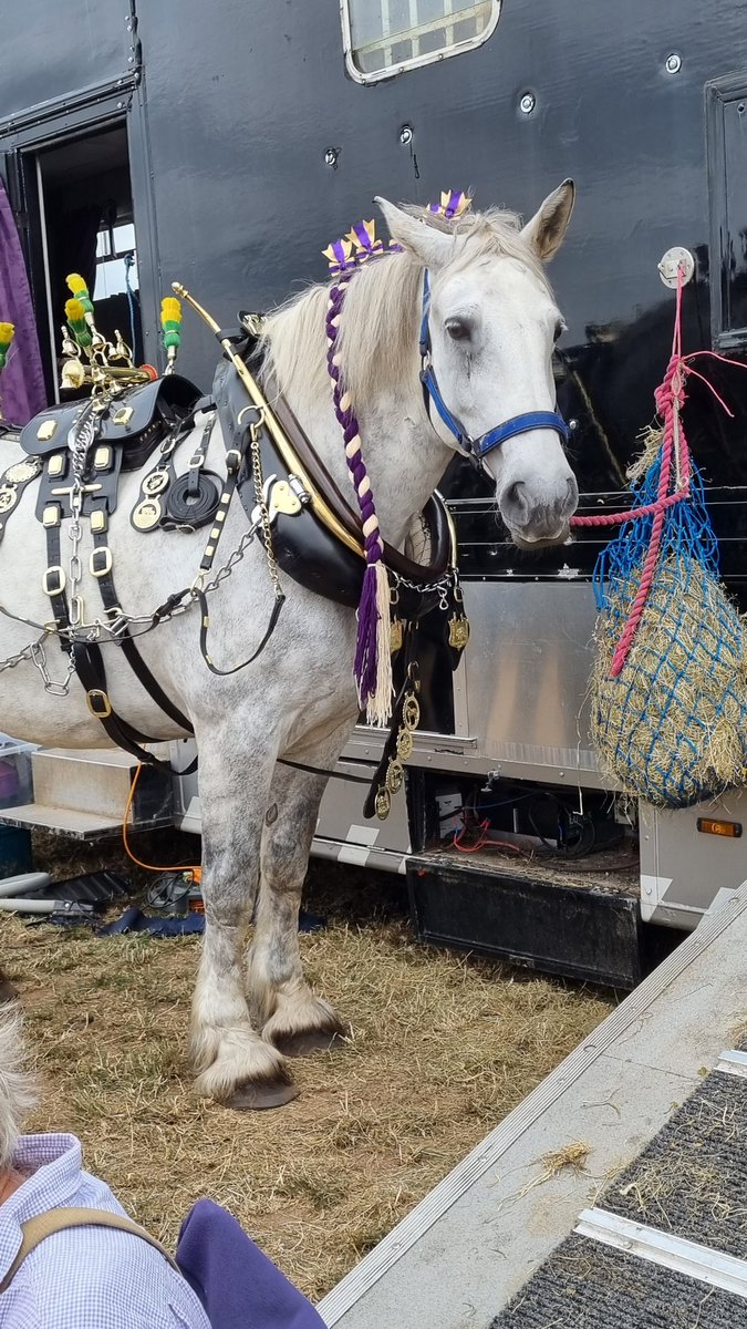 Agaholic76's tweet photo. #eccleshallshow yesterday.  A perfect example of a one day agricultural and produce event.  Its #75anniversary Well done #eccleshall #STAFFORDSHIRE https://t.co/wrLc1kMbYQ