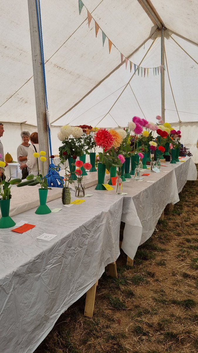 #eccleshallshow yesterday.  A perfect example of a one day agricultural and produce event.  Its #75anniversary Well done #eccleshall #STAFFORDSHIRE