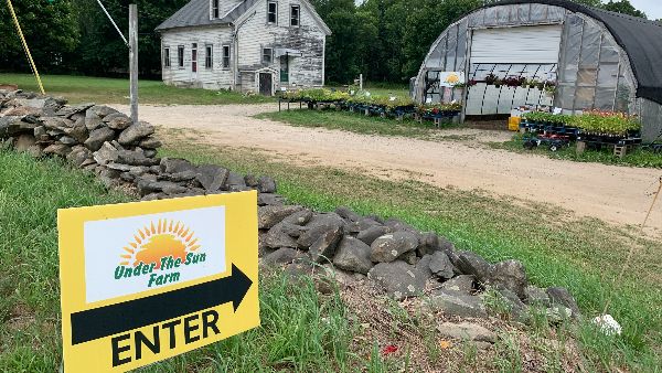 Under the Sun Farm tweet media