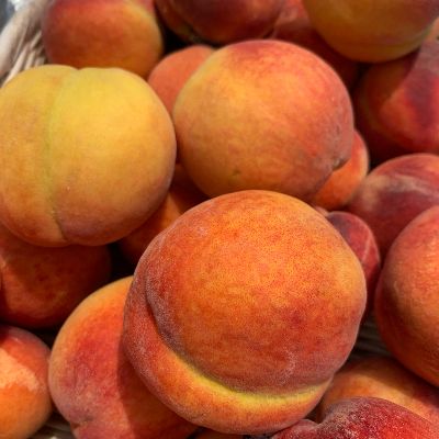 Under the Sun Farm tweet media