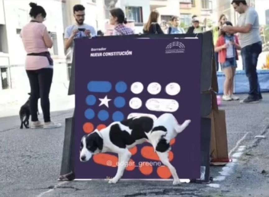 carreragonzalo's tweet photo. Un perrito que la tiene clara ! Es mala y punto 😂 https://t.co/teSDamNKQy