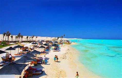 AlaklhW's tweet photo. #الجونةvsالساحل_الشرير  يا تري بتحبو شاطئ الجونه ولا الساحل https://t.co/otwrqacT04