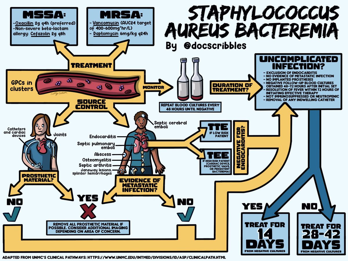 DocScribbles's tweet photo. Staph aureus bacteremia? Don’t forget to consult your ID doc! Early ID consult is associated with decreased relapse rates and decreased mortality, among other benefits 🤗 #staphaureus #bacteremia #idtwitter #MedTwitter #visualmed https://t.co/QfKdliVWwS