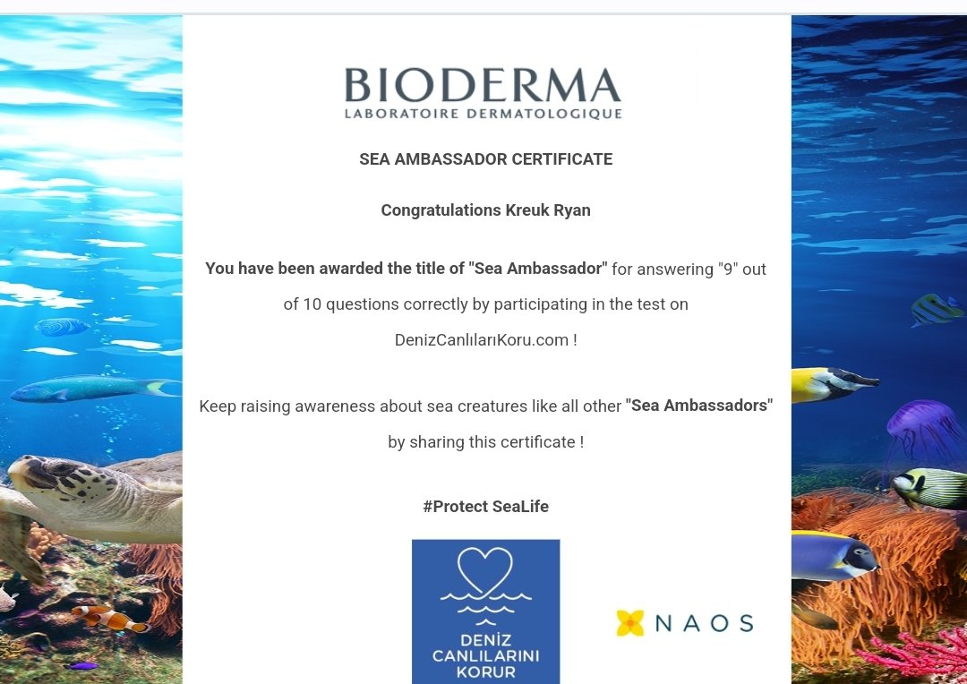 Precious Ayça 💞 tweet media